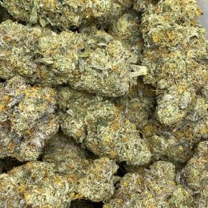 ANIMAL COOKIES (EXOTIC) - Image 5